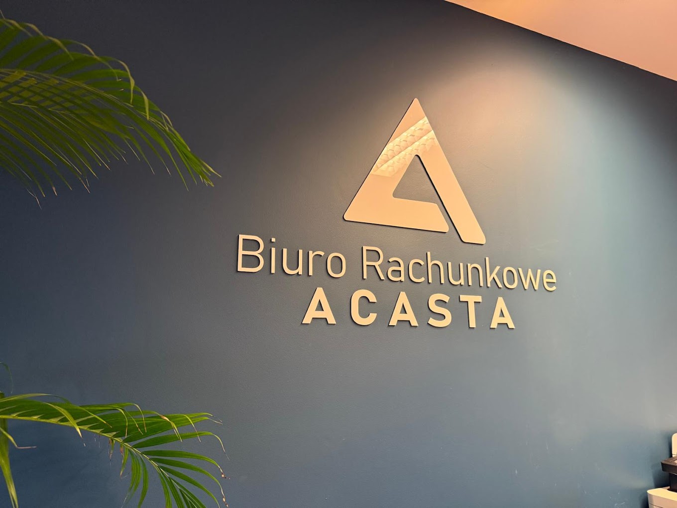 ACASTA – audyt i wyprowadzanie zaległości